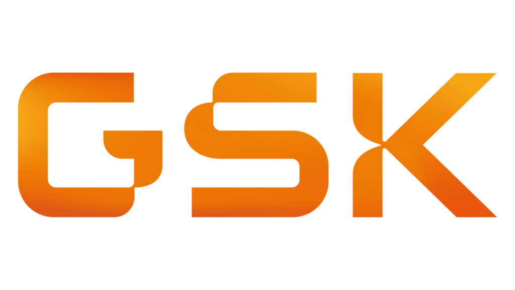 GSK - Measuring Patient Engagement Summit Europe - Patient Access, Care, Evidence, Engagement, Advocacy